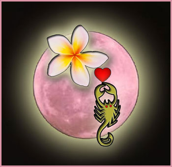 pleine lune rose avril en scorpion