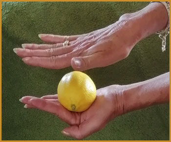 magnétiser un citron