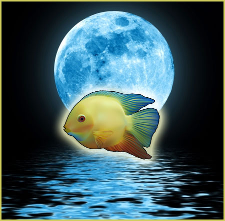 super pleine lune bleue d'août 2023 en poissons